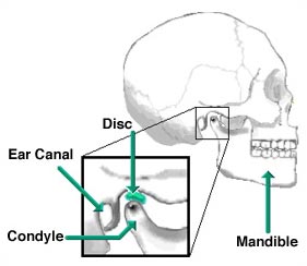 diagram of basic jaw joint anatomy